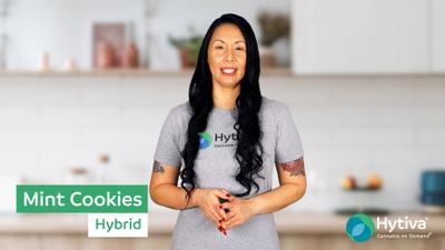 Mint Cookies - Hybrid Strain