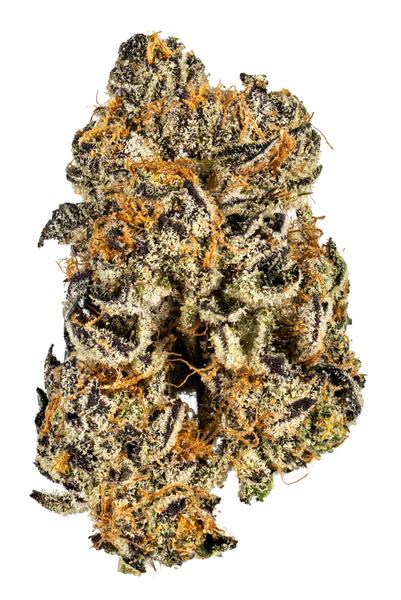 Mint Cookies - Hybrid Cannabis Strain