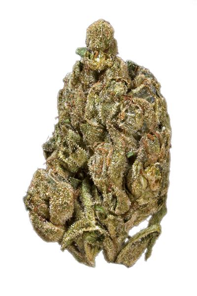 Miramar OG - Hybride Cannabis Strain