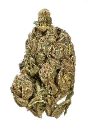 Miramar OG - Hybrid Cannabis Strain