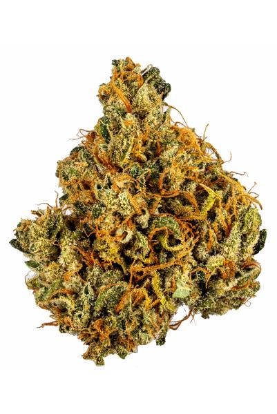 Miss Africa - Híbrida Cannabis Strain