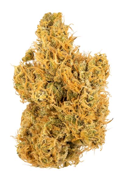 Miss Fire - Hybride Cannabis Strain