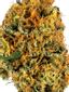 Mo Lune Day Hybrid Cannabis Strain Thumbnail