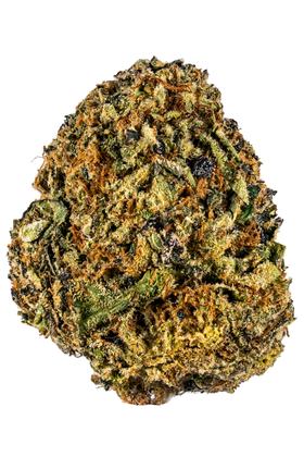 Mochi - Hybride Cannabis Strain
