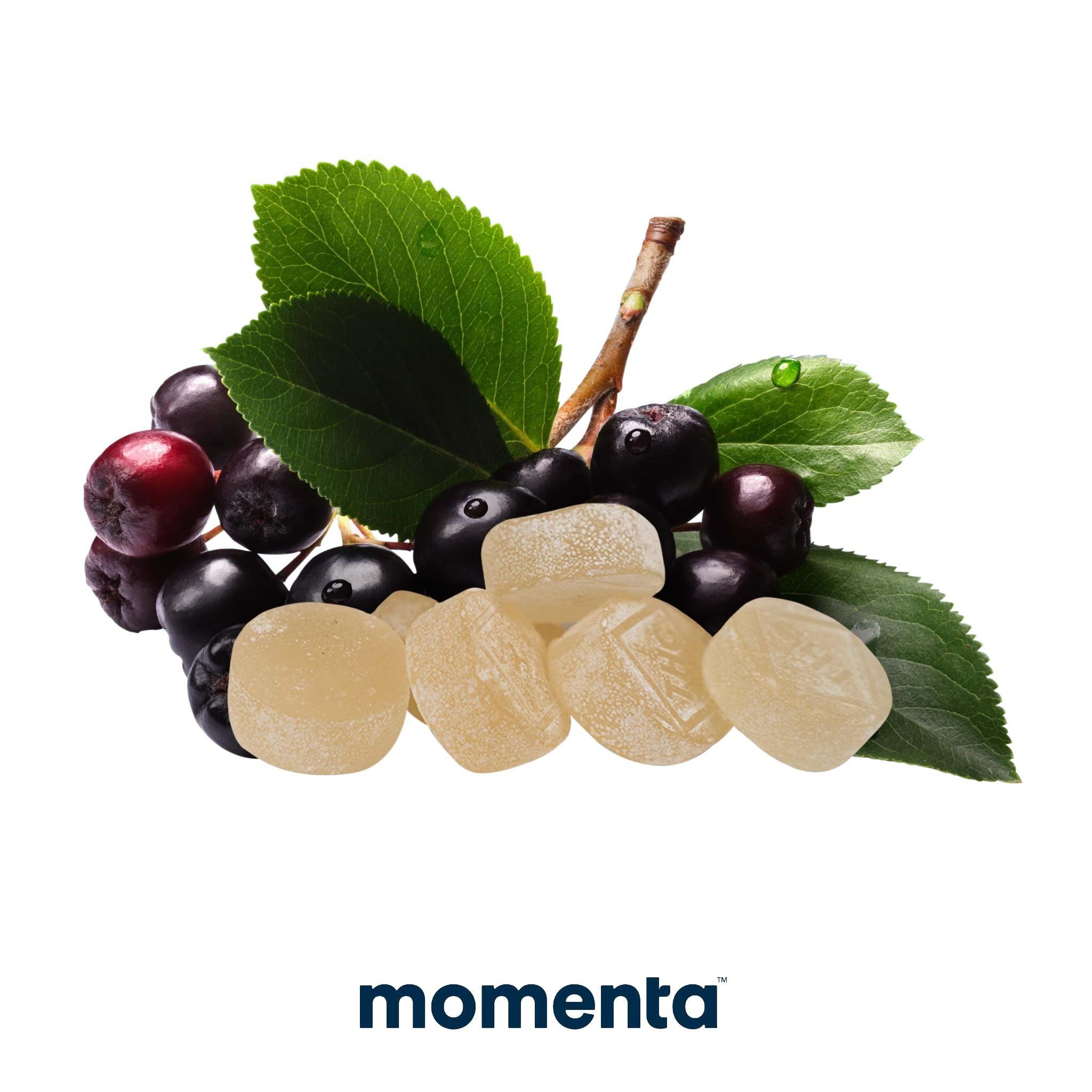 Huckleberry Troche 100mg Product Image