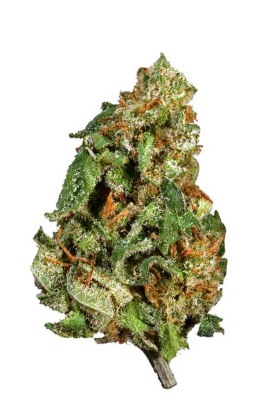 Monkey Paw - Hybrid Cannabis Strain