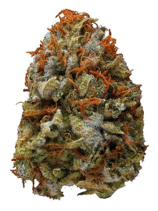Monster OG - Hybrid Cannabis Strain