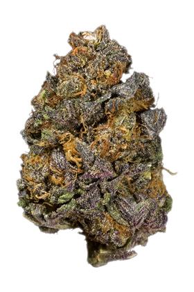 Montana Silvertip - Hybrid Cannabis Strain
