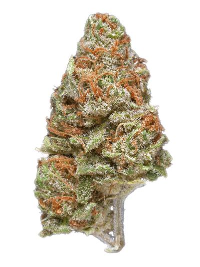 Moonshine Haze - Sativa Cannabis Strain