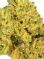 Mountain Glue Hybrid Cannabis Strain Thumbnail