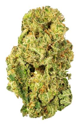 Mountain Lemon - Hybrid Cannabis Strain