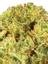 Mountain Lemon Hybrid Cannabis Strain Thumbnail