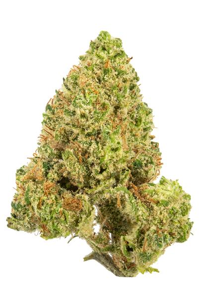 Mountain Orange - Hybrid Cannabis Strain