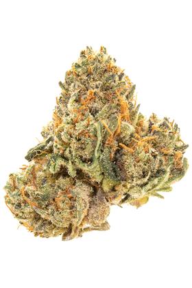 Mountain's Majesty - Hybride Cannabis Strain