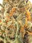 Mountain's Majesty Hybrid Cannabis Strain Thumbnail