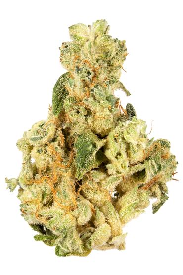 Mr. Nasty - Hybrid Cannabis Strain