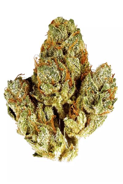 Mr. OG - Indica Cannabis Strain