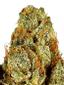 Mr. OG Indica Cannabis Strain Thumbnail