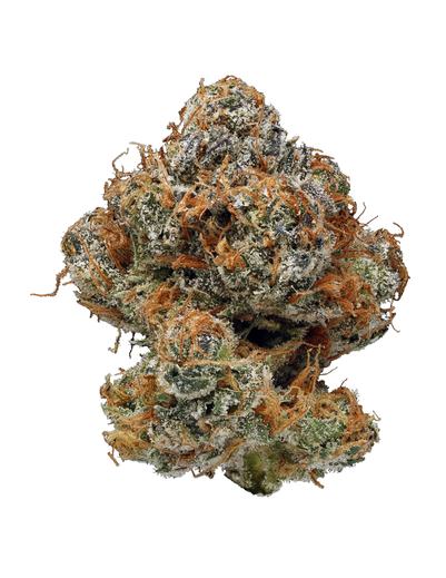 NY Cheese - Híbrida Cannabis Strain