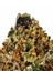 Napalese Kush Indica Cannabis Strain Thumbnail