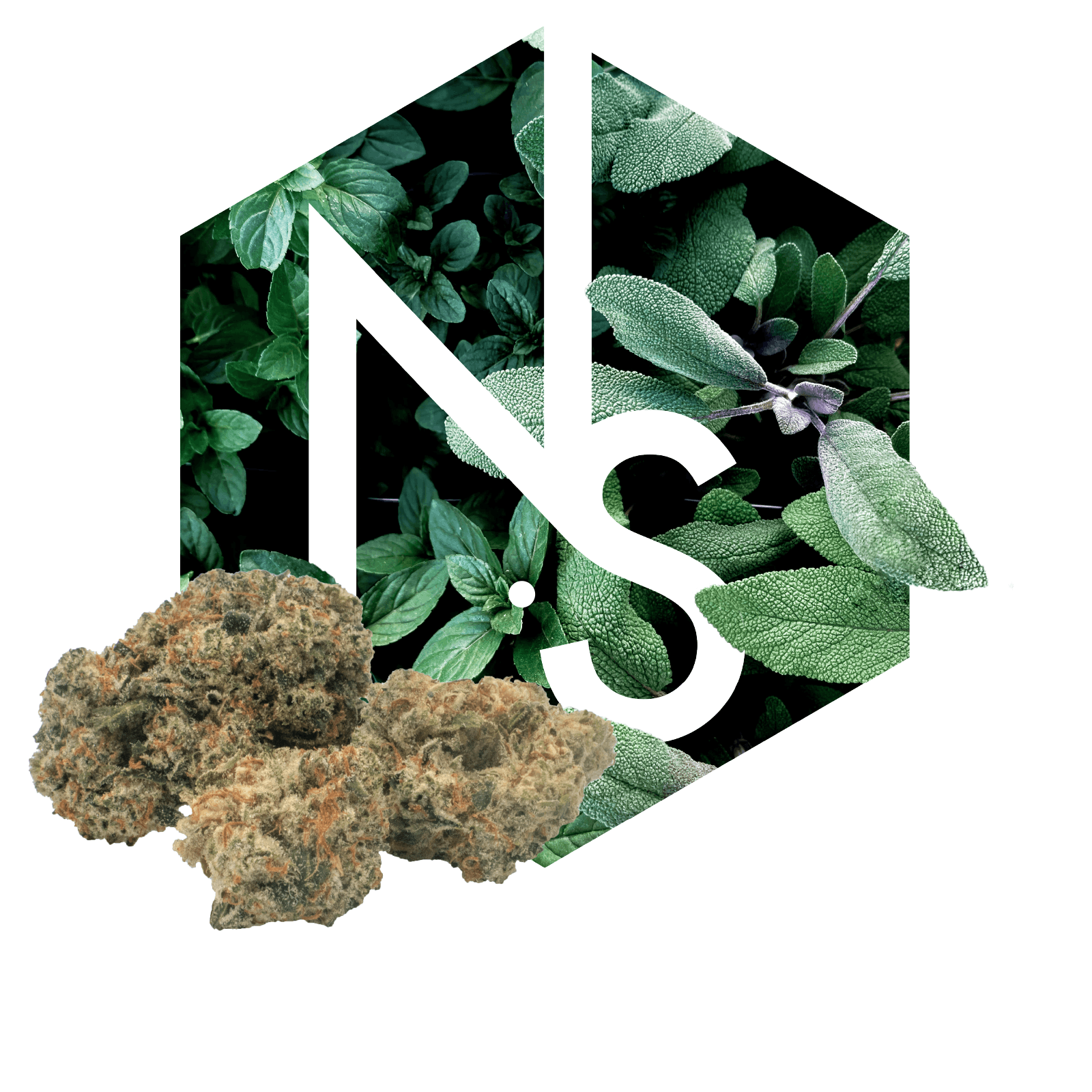 Hybrid Flower Product Image