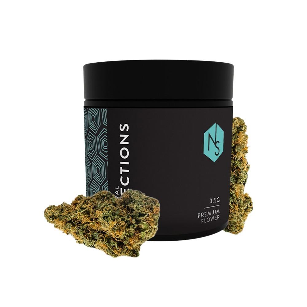 Hybrid Flower Product Image
