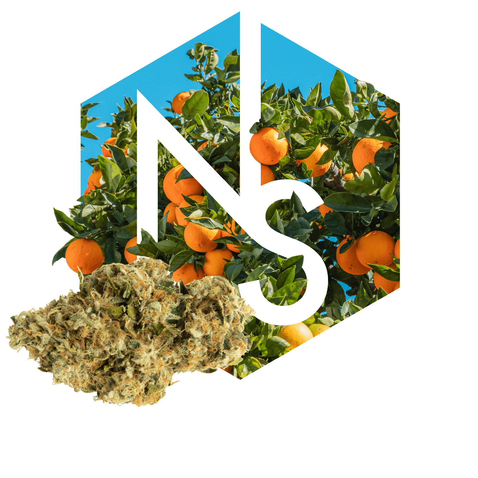 Sativa Flower Product Image
