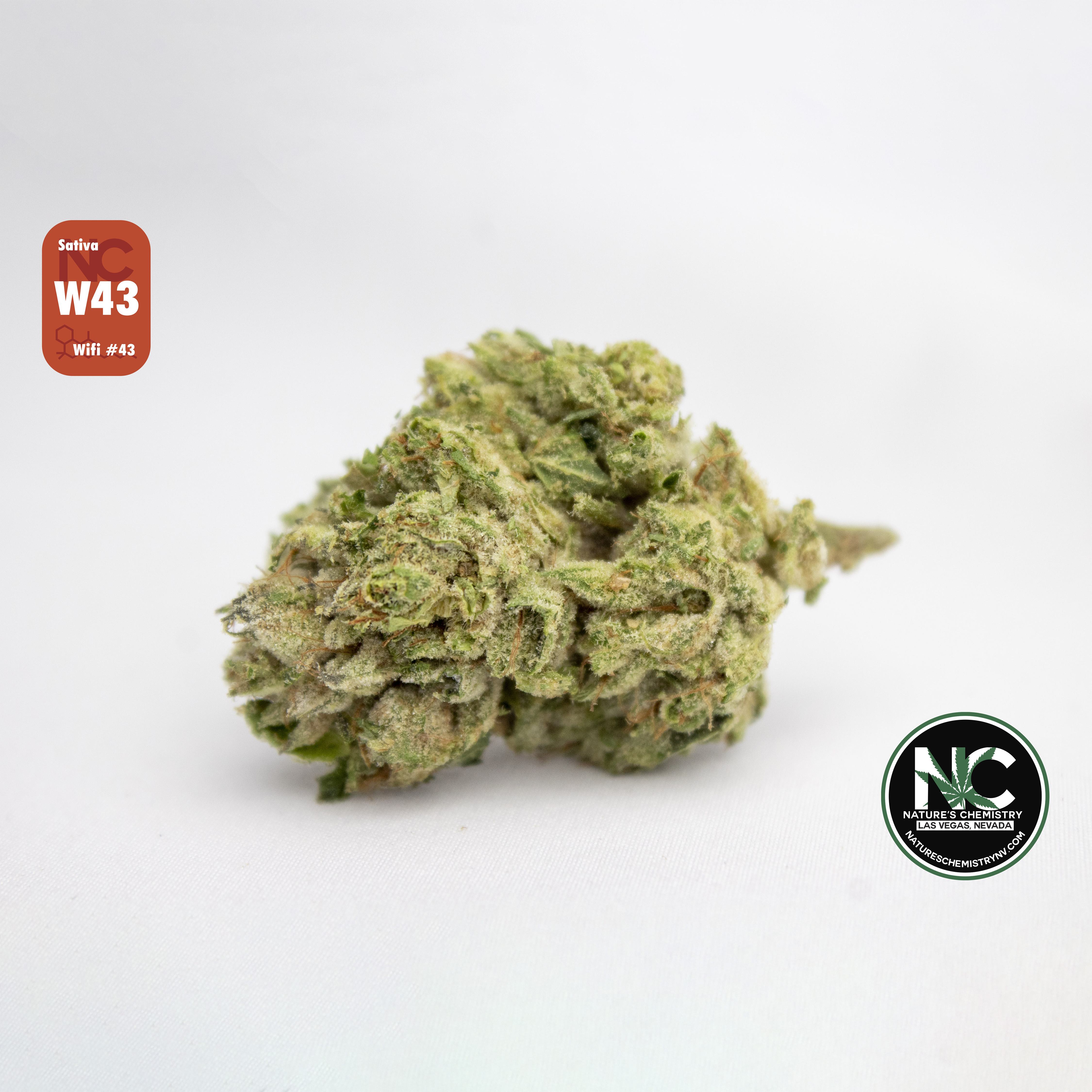Wifi 43 Product Image