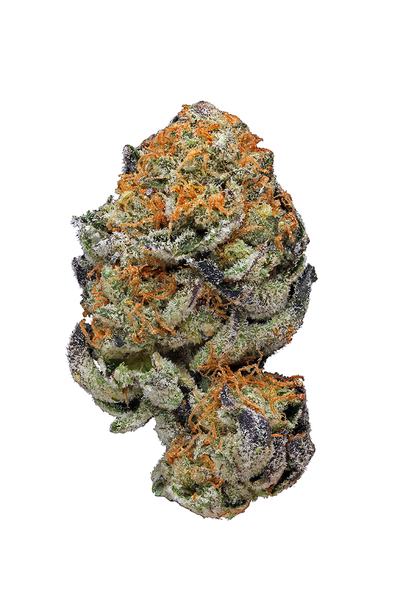 Naughty GSC - Hybrid Cannabis Strain