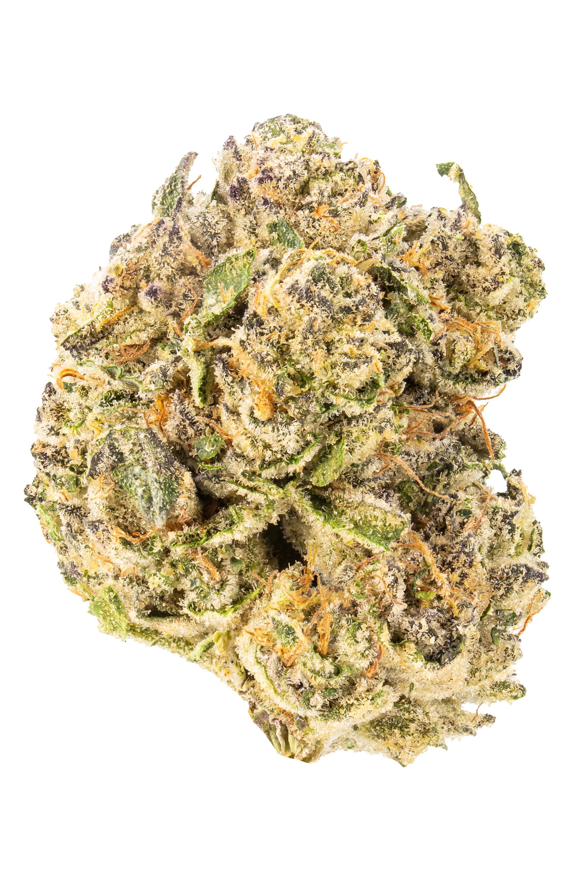 NC Kush - Hybrid Cannabis Strain