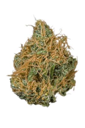 Nebula - Hybrid Cannabis Strain