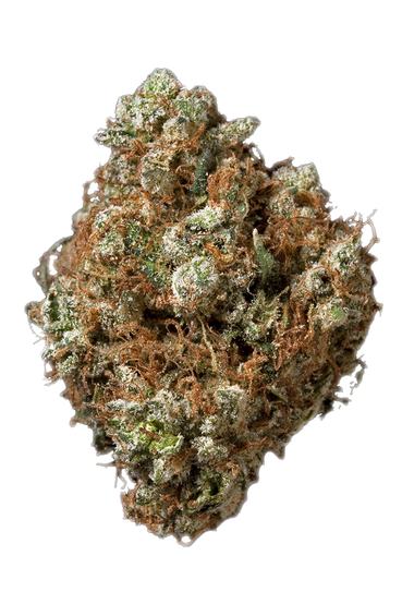 Neptune OG - Indica Cannabis Strain