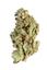 Neptune OG Indica Cannabis Strain Thumbnail