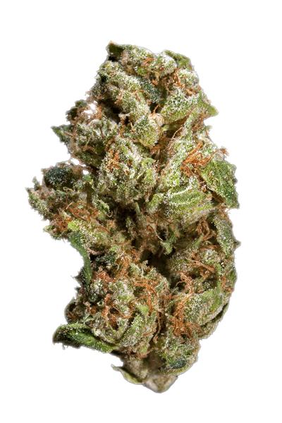 Night Nurse - Hybrid Cannabis Strain