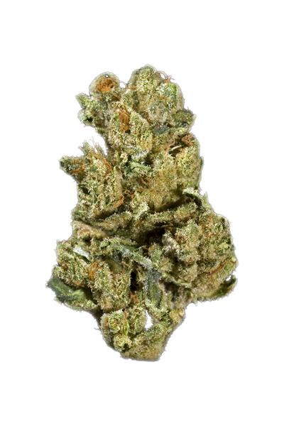 Nightfire OG - Sativa Cannabis Strain