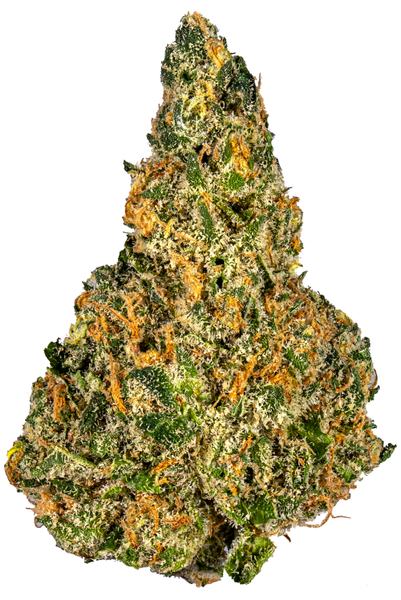 Nightmare Cookies - Híbrida Cannabis Strain