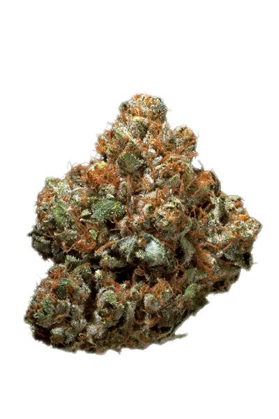Nixon OG - Hybrid Cannabis Strain