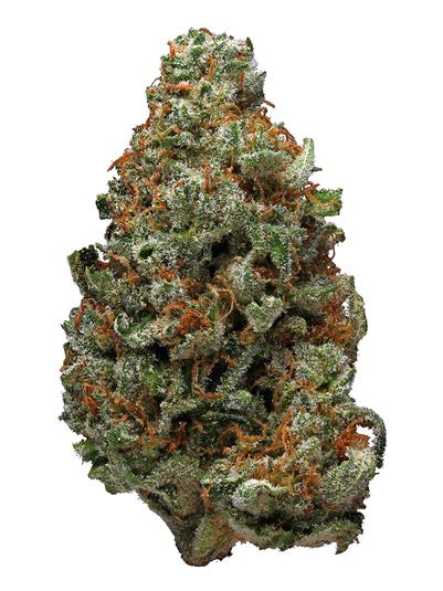 Nixon - Híbrida Cannabis Strain