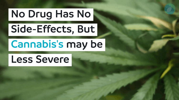 All Drugs Have Side-Effects, But Cannabis May Be Less Severe
