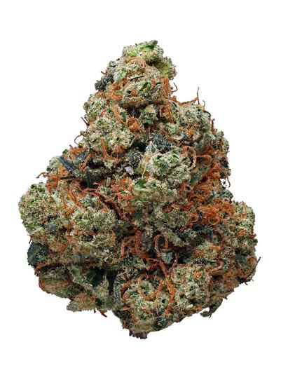 Northern Blueberry - Hybrid Cannabis Strain