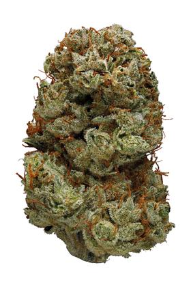 Northern Lights #5 - Hybride Cannabis Strain