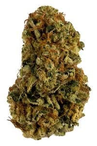 NYC Diesel - Hybrid Cannabis Strain