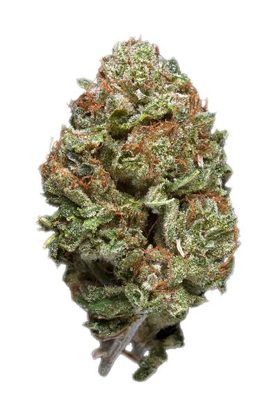 OG Bubba - Hybrid Cannabis Strain