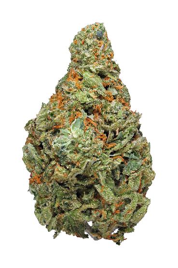 OG Cheese - Hybrid Cannabis Strain