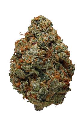 OG Kush - Híbrido Cannabis Strain