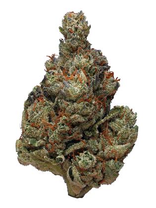OG Lavender - Hybrid Cannabis Strain