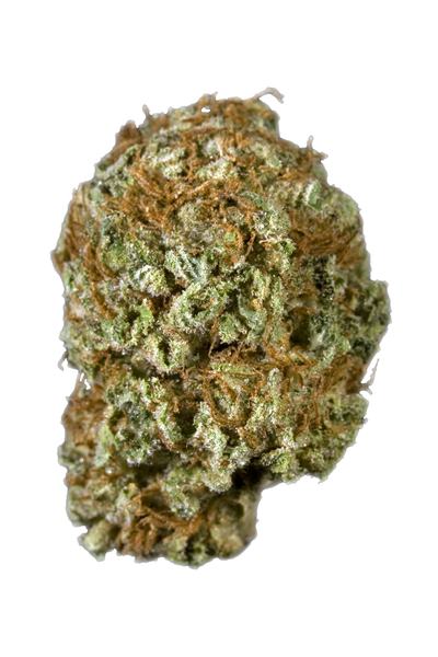 OGUR Kush - Hybrid Cannabis Strain