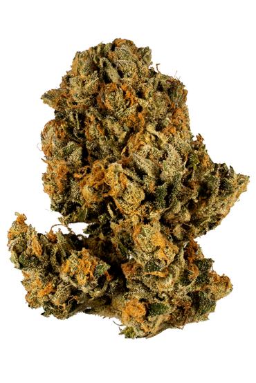 OBTK #4 - Hybrid Cannabis Strain