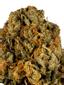 OBTK #4 Hybrid Cannabis Strain Thumbnail