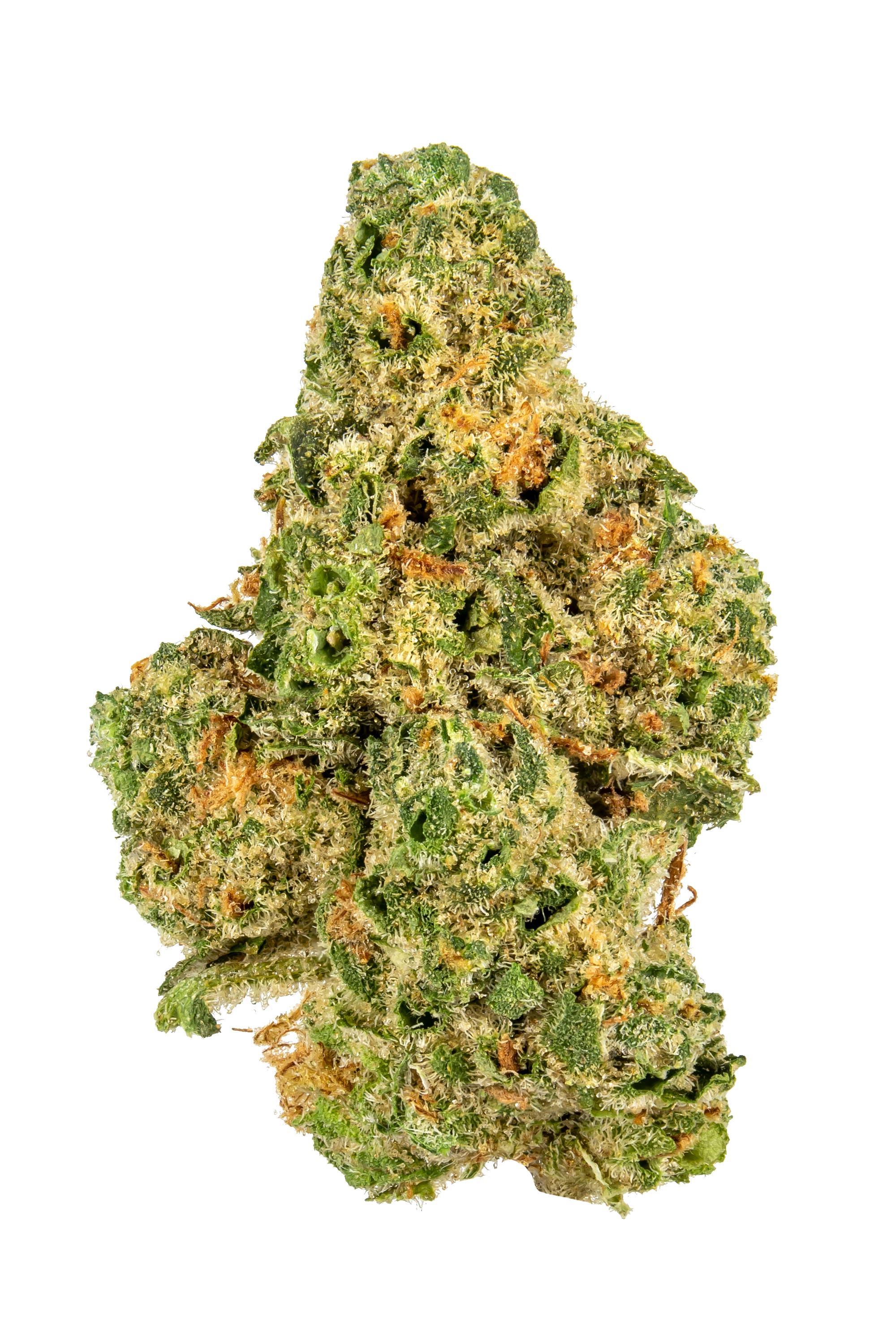 Ocean Beach - hybrid Cannabis Strain by Hytiva